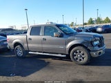 FORD F-150 FX2/KING RANCH/LARIAT/LIMITED/PLATINUM/XL/XLT 1FTFW1CT0EFB69945 fotografie