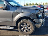 FORD F-150 FX2/KING RANCH/LARIAT/LIMITED/PLATINUM/XL/XLT 1FTFW1CT0EFB69945 fotografie