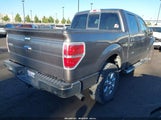 FORD F-150 FX2/KING RANCH/LARIAT/LIMITED/PLATINUM/XL/XLT 1FTFW1CT0EFB69945 fotografie