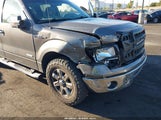 FORD F-150 FX2/KING RANCH/LARIAT/LIMITED/PLATINUM/XL/XLT 1FTFW1CT0EFB69945 fotografie