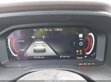 Nissan Rogue Platinum Intelligent Awd JN8AT3DD7MW304170 fotografie