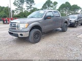 FORD F-150 XLT 1FTFW1EF0BKD17277 снимка
