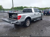 FORD F-150 XLT 1FTFW1ETXBFC46619 снимка