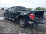 FORD F-150 XLT 1FTFW1ETXBFB94649 снимка