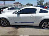 FORD MUSTANG GT DELUXE/GT PREMIUM 1ZVHT82H055248252 photo