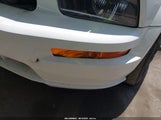 FORD MUSTANG GT DELUXE/GT PREMIUM 1ZVHT82H055248252 photo