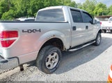 FORD F-150 FX4/HARLEY-DAVIDSON/KING RANCH/LARIAT/PLATINUM/XL/XLT 1FTFW1EV4AFA32760 fotografie