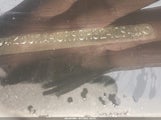 DODGE CHARGER 2B3KA43R98H324094 снимка