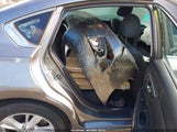 NISSAN ALTIMA 2.5 SV 1N4AL3APXFC585689 снимка