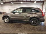 Honda Cr-V Ex 3CZRE48569G705498 снимка