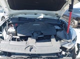 Audi Q8 Premium 55 Tfsi Quattro Tiptronic WA1AVBF15PD026057 photo