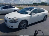 NISSAN MAXIMA 3.5 SV 1N4AA5AP0BC824338 снимка