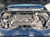 Toyota Rav4 Xle 2T3W1RFV8LW079304 снимка
