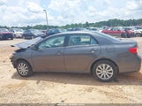 TOYOTA COROLLA LE 2T1BU4EE1DC109684 снимка
