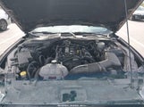 Ford Mustang Ecoboost 1FA6P8TH6H5328940 снимка