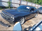Dodge Challenger Sxt 2C3CDYAG8DH596542 photo