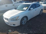 NISSAN MAXIMA 3.5 SV 1N4AA5AP4AC805225 снимка