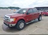 Ford F-150 Xlt 1FTFW1ET6EKE66769 снимка