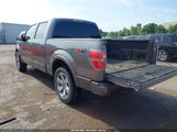Ford F-150 Fx2 Sport/Harley-Davidson/King Ranch/Lariat/Platinum/Xl/Xlt 1FTFW1CV4AKE23501 fotografie
