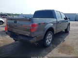 Ford F-150 Fx2 Sport/Harley-Davidson/King Ranch/Lariat/Platinum/Xl/Xlt 1FTFW1CV4AKE23501 снимка