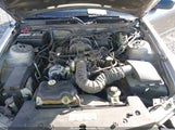 FORD MUSTANG V6/V6 PREMIUM 1ZVHT80N495114004 снимка