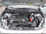 Toyota Rav4 Xle JTMP1RFVXKD003826 fotografie