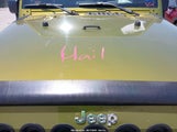 Jeep Wrangler Sport 1J4AA2D16AL218406 снимка