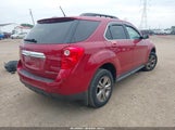 Chevrolet Equinox 1Lt 2GNALBEK1E6143384 снимка