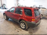 FORD ESCAPE XLT/XLT SPORT 1FMYU03186KA68258 fotografie