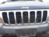 JEEP GRAND CHEROKEE SPORT 1J4GW38S42C166263 photo