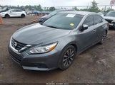 NISSAN ALTIMA 2.5 SL 1N4AL3AP5JC183605 photo