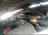 HONDA ACCORD 2.4 EX-L 1HGCP2F85AA161779 снимка