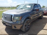 FORD F-150 FX2 SPORT/XL/XLT 1FTEW1C83AKC20010 снимка