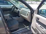 FORD ESCAPE XLT 1FMCU93GX9KB27298 снимка