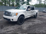 Ford F-150 Fx4/Harley-Davidson/King Ranch/Lariat/Platinum/Xl/Xlt 1FTFW1EV6AFA35305 photo