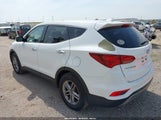 HYUNDAI SANTA FE SPORT 2.4L 5NMZTDLB5HH018198 снимка