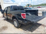FORD F-150 PLATINUM 1FTFW1ET0EFA07374 снимка