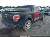 FORD F-150 FX4/KING RANCH/LARIAT/PLATINUM/XL/XLT 1FTPW14V49KC59679 fotografie