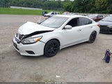 NISSAN ALTIMA 2.5 SV 1N4AL3AP2HC250042 снимка