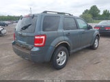 FORD ESCAPE XLT 1FMCU9D7XCKC22949 fotografie