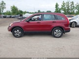 HONDA CR-V LX 5J6RE4H33BL073826 снимка