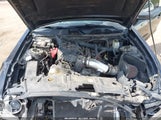 FORD MUSTANG V6 1ZVBP8AM2E5314972 снимка