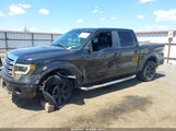 Ford F-150 Fx4/Harley-Davidson/King Ranch/Lariat/Platinum/Xl/Xlt 1FTFW1EV5AFA52967 fotografie