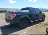 Ford F-150 Fx4/Harley-Davidson/King Ranch/Lariat/Platinum/Xl/Xlt 1FTFW1EV5AFA52967 fotografie