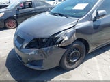 Toyota Corolla Le 1NXBU4EE8AZ310329 снимка