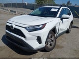 TOYOTA RAV4 XLE 2T3W1RFV2PW297115 fotografie