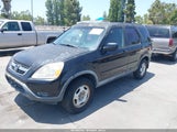 HONDA CR-V LX JHLRD68434C012382 снимка