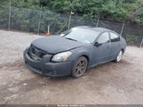 NISSAN MAXIMA 3.5 SE 1N4BA41E98C828765 снимка
