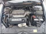 Honda Accord 3.0 Lx 1HGCM66353A045621 photo