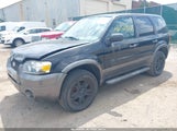 FORD ESCAPE XLT/XLT SPORT 1FMYU93126KC94204 снимка